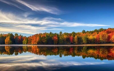 Lo que hay detrás de los métodos naturales de la visión natural: un análisis crítico y científico