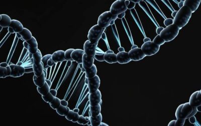 El genoma oscuro: misterios y avances en la investigación